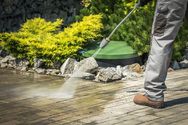 Best Dumpster Area Cleaning  in Rapids, NY
