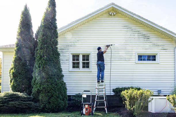 Best Fence Cleaning  in Rapids, NY